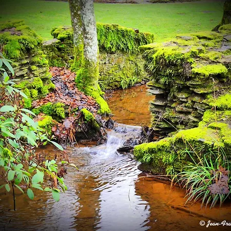Chez Nathalie Habay-la-Neuve